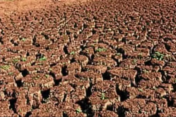 2 lakh hectares of crops damaged, 2 lakh farmer families hit by drought