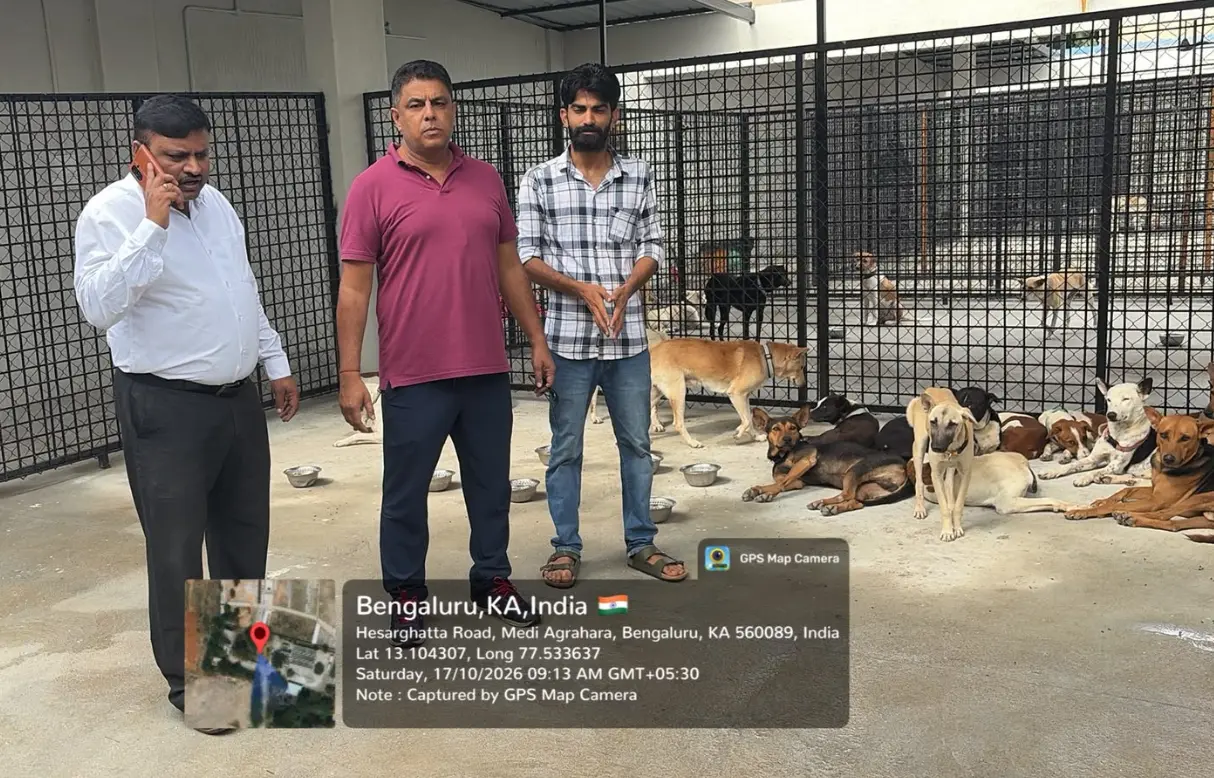 Medi Agrahara shelter boosts street dog care