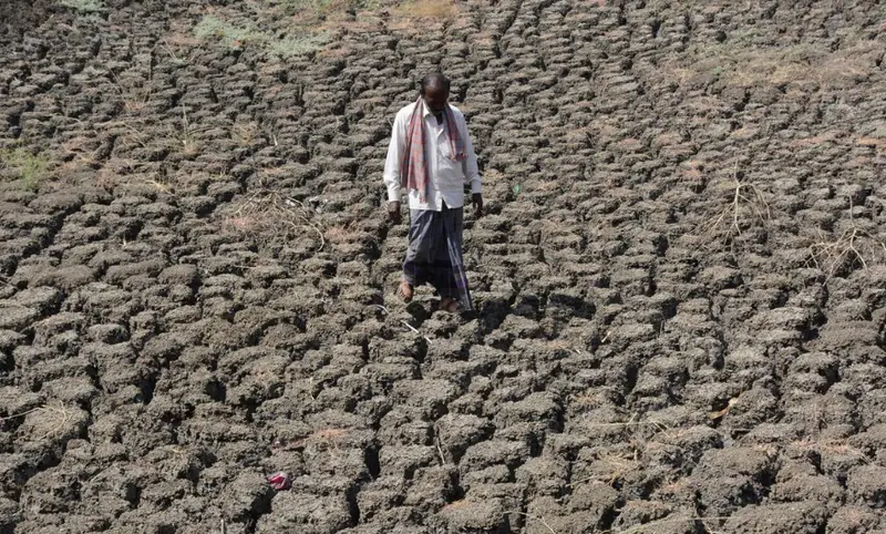 Karnataka records second-lowest monsoon rainfall in 70 years
