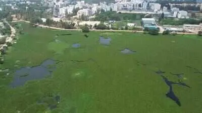 Amrit Sarovar scheme funds lake rejuvenation