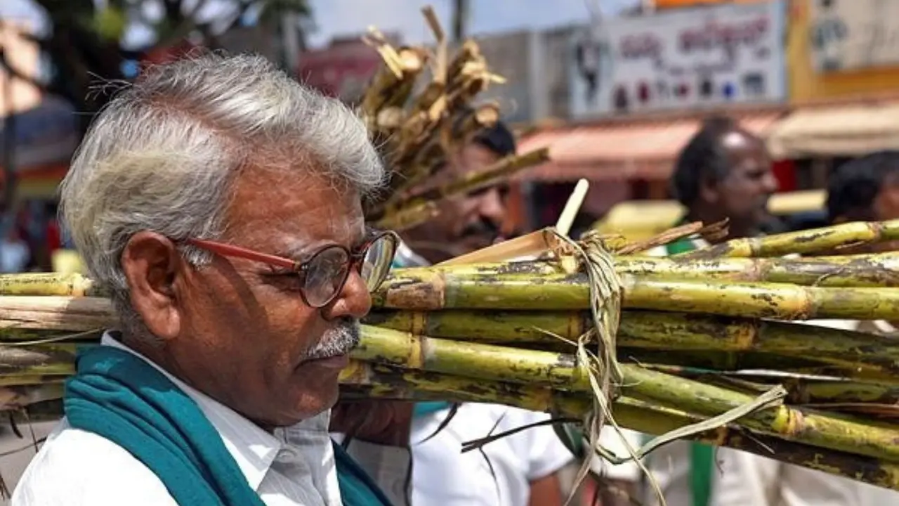 Farmers block NH 48 demanding ₹5,500 sugarcane price 