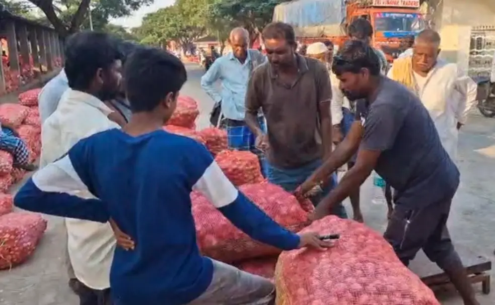 Gadag onion prices fall; farmers demand support