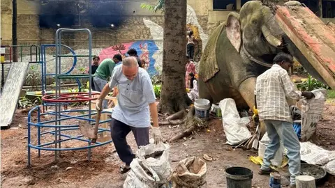 Malleswaram’s Elephant Park revived after decades
