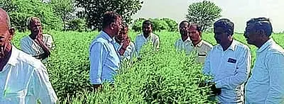 Scientists assess crops, advise farmers on drought management