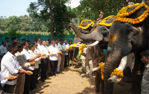 MLA performs puja for Shivamogga Dasara elephants