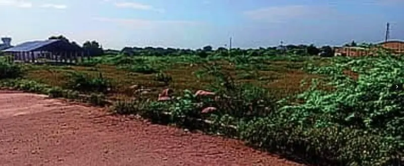 Kembhavi sub-market remains abandoned as farmers seek action