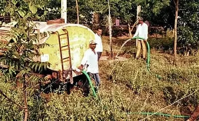 Forest dept struggles to save roadside saplings in Hulasur  