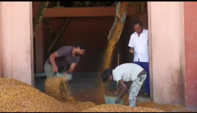 Kalaburagi Toor Dal Earns Global Recognition; PM Modi Highlights It in ‘Mann Ki Baat’