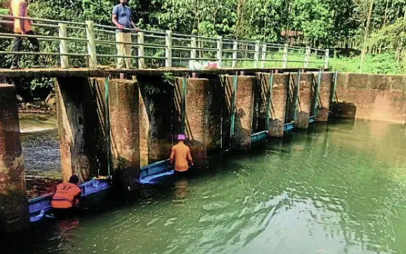 Lack of rain in district, fear of water scarcity 