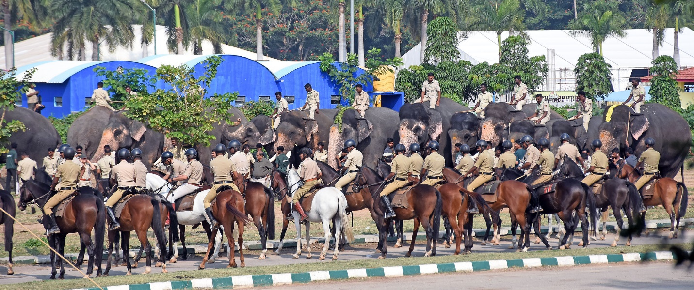 Dasara elephants, horses face the boom test