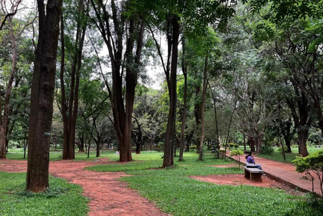 GBA plans new system to restore Bengaluru’s green cover