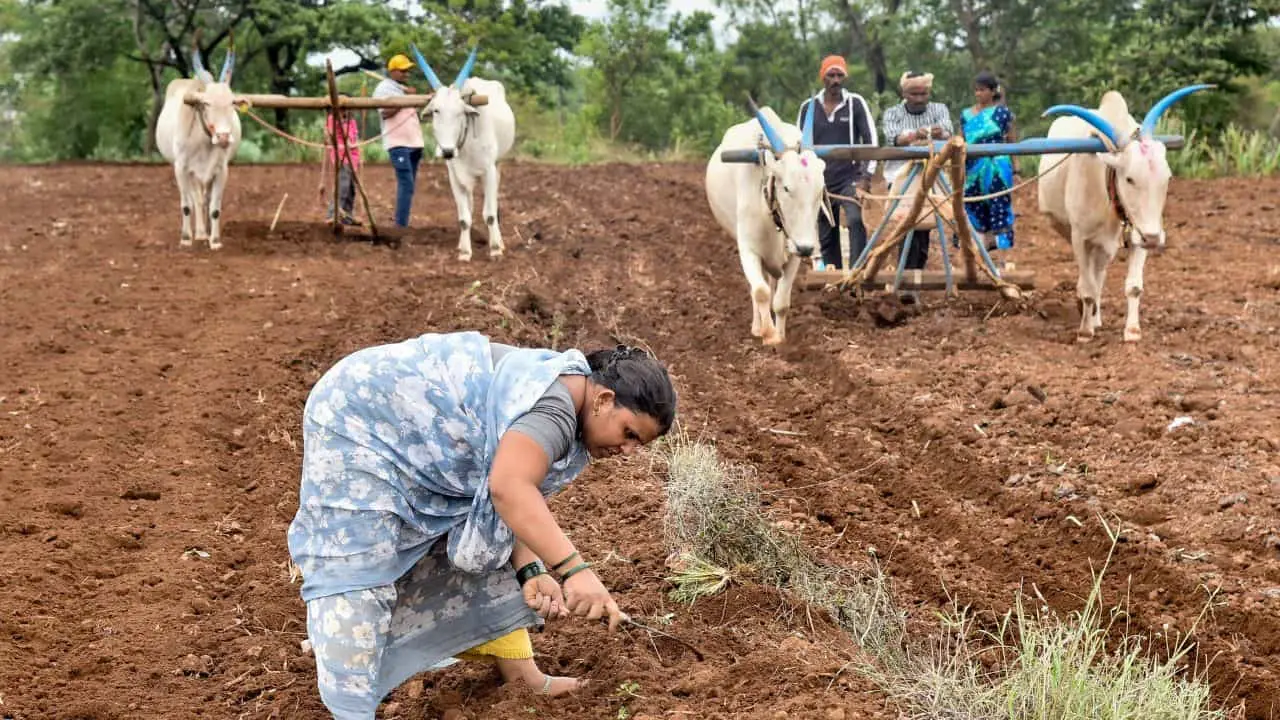 Rain deficit threatens post monsoon sowing 