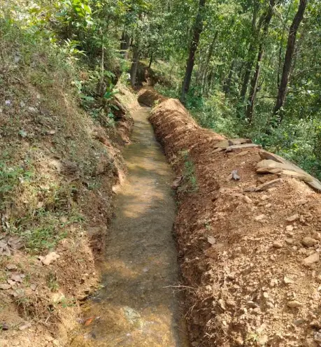 New canal brings relief to Sirsi farmers