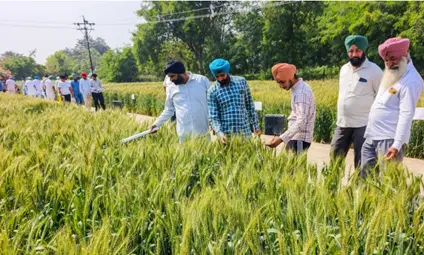 Soil carbon payments reach 2,550 farmers