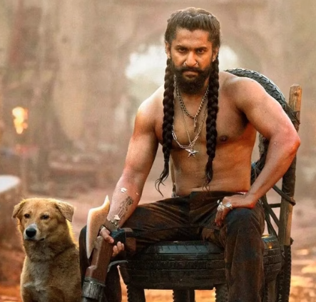 Nani faces backlash over remarks on women and braids