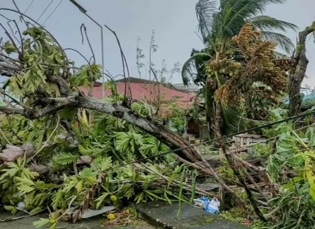Death toll from Typhoon Bualoi in Vietnam touches 11