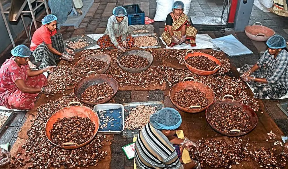 Middle East tensions add strain to cashew trade