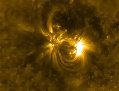 AI Model ‘Surya’ Enhances Solar Storm Forecasting