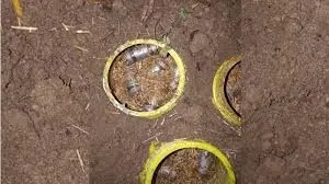 60-70 socket bombs recovered in Murshidabad