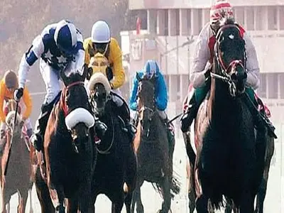 Bengaluru Turf Club Gears Up for Winter Races, to Shift Operations to Kunigal SoonBENGALURU