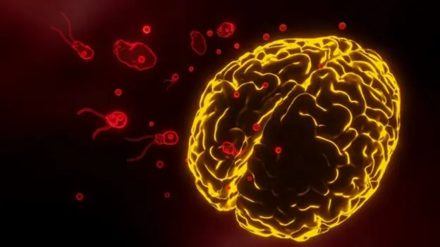 Kerala records sixth brain-eating infection death