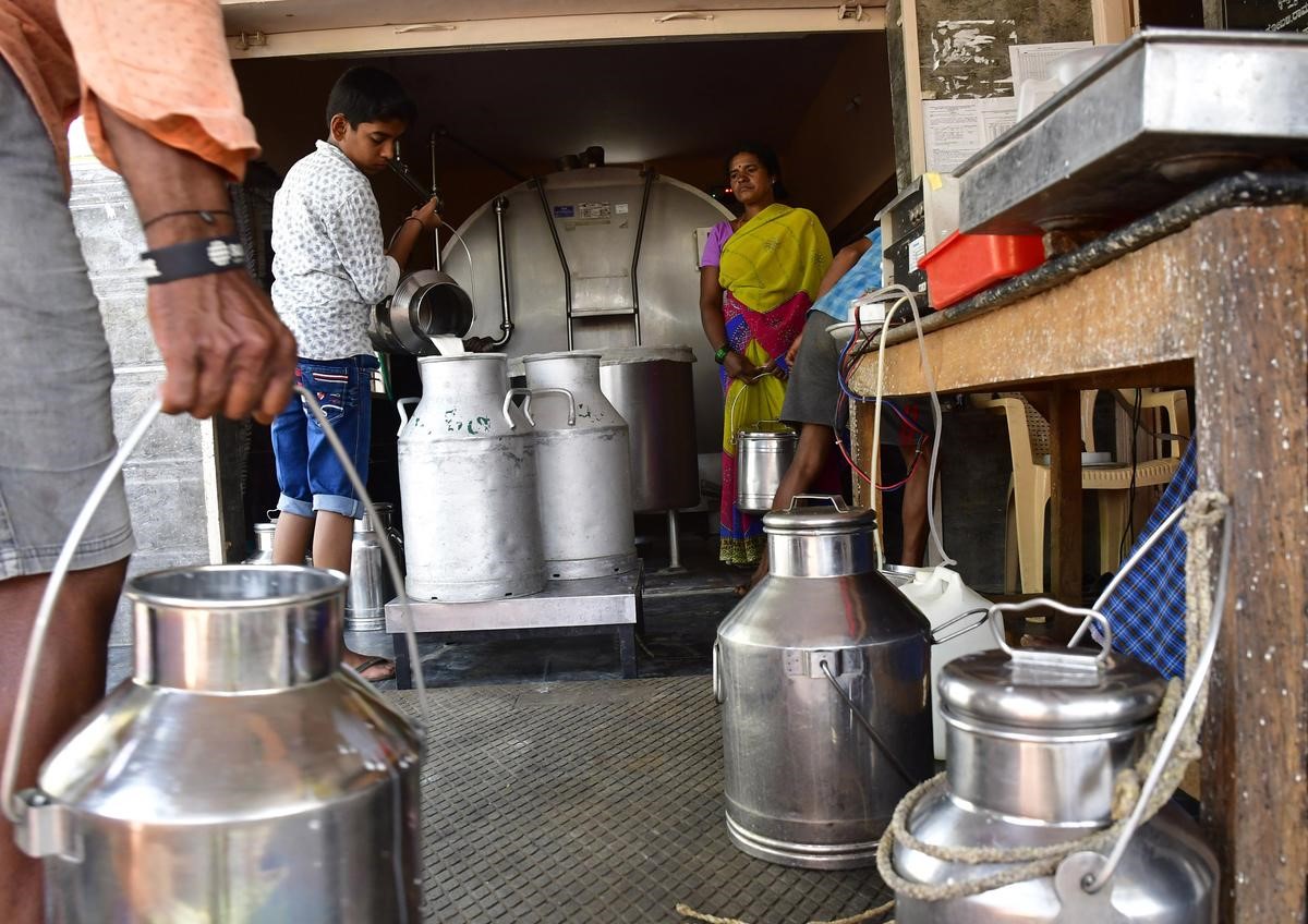 Nandini Milk unions demand ₹8 price hike