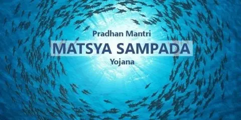 Applications open under PM Matsya Sampada Yojana for fisheries