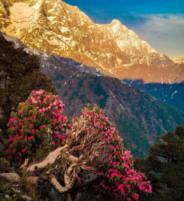 Easiest Treks in India