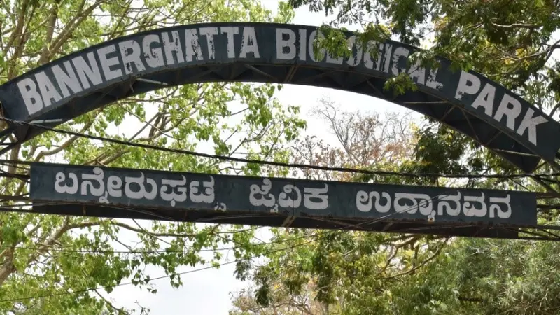 Activists Urge Immediate Action to Protect Bannerghatta National Park
